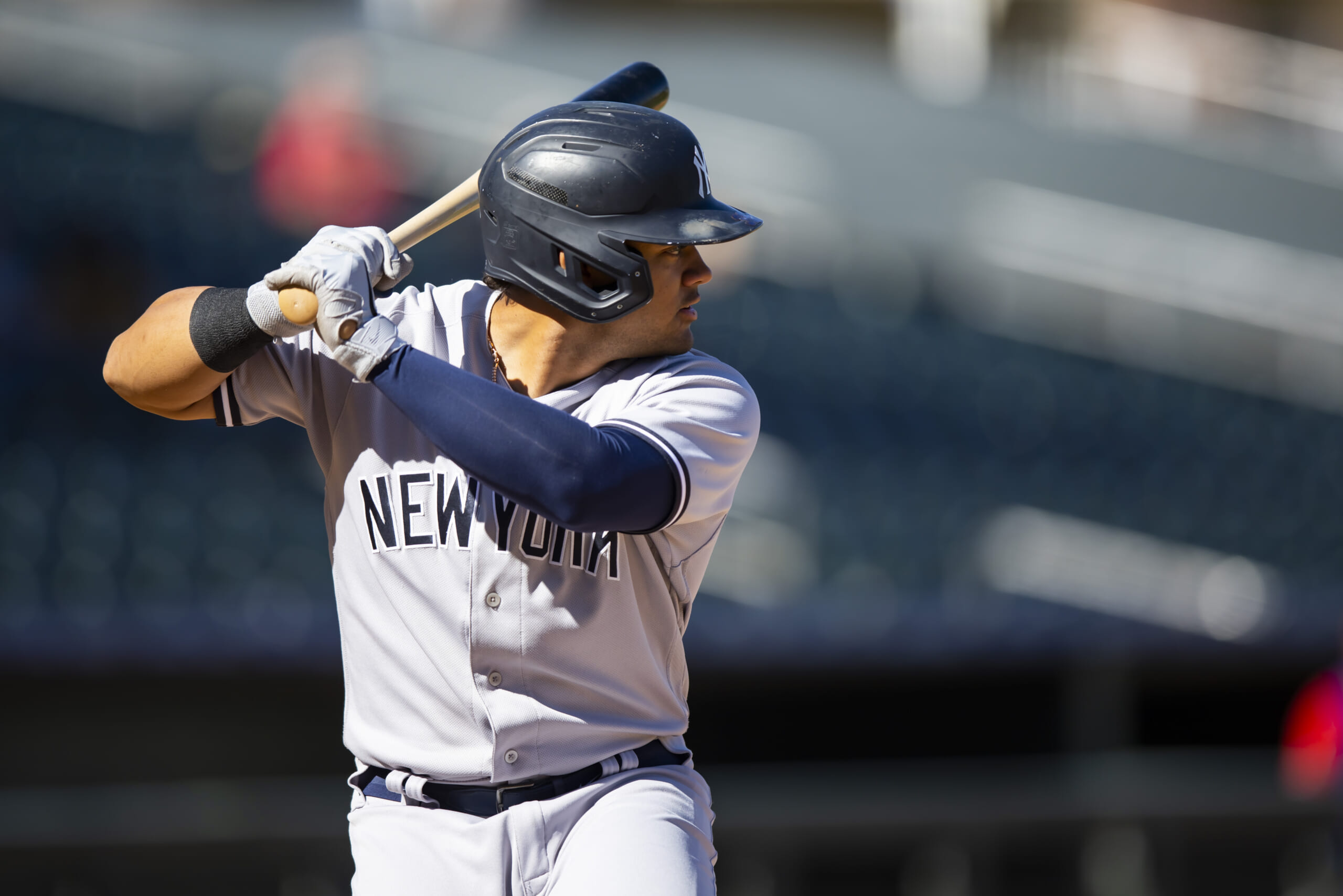 A Q&A on Jasson Dominguez and Austin Wells with Yankees player