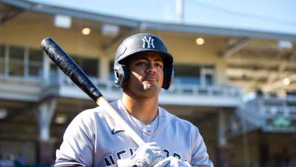Yankees MiLB Report: Top outfield prospects have big days, left-handed catcher continues tear of Double-A