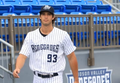 Yankees promote prospect dubbed the ‘lefty Aaron Judge’