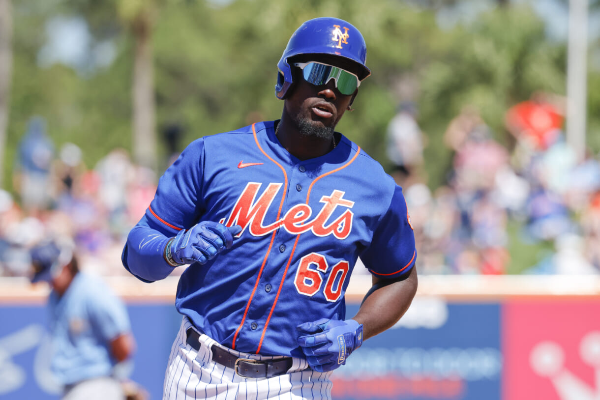 MLB: Spring Training-Tampa Bay Rays at New York Mets