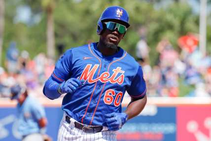 The Mets have several big decisions to make with prospects trying to crack the 2024 lineup