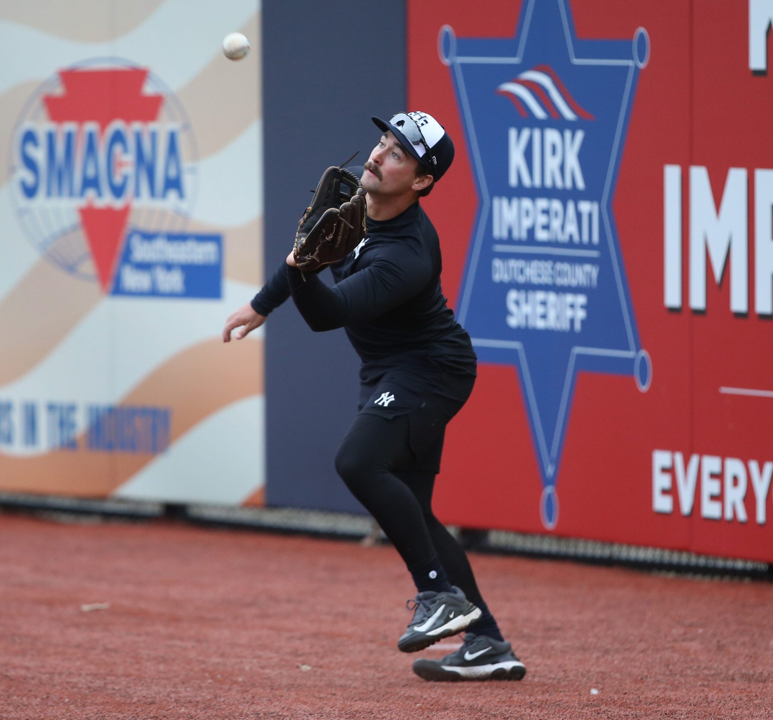 aaron palensky, yankees