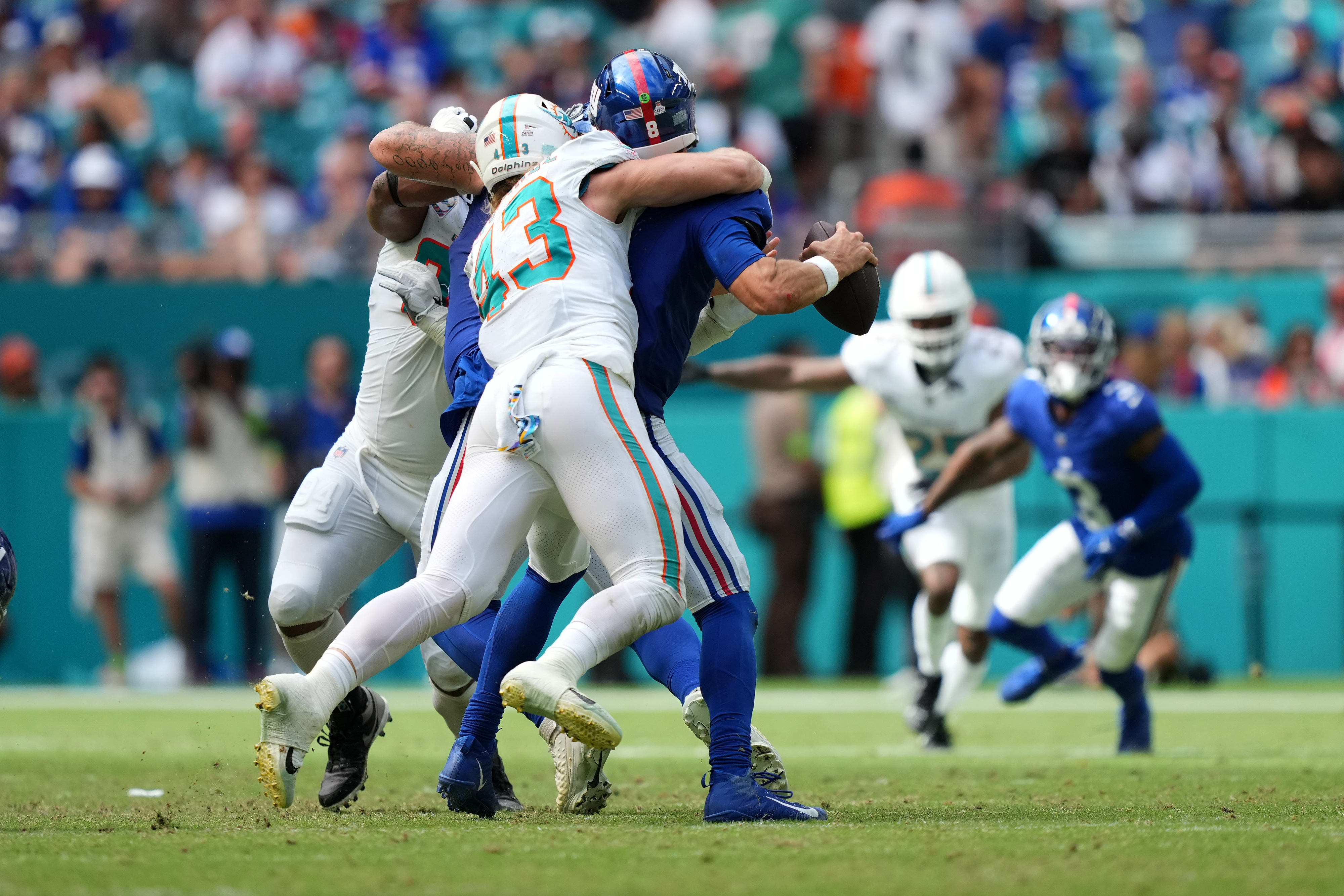 Miami Dolphins linebacker Andrew Van Ginkel (43) sacks Miami Dolphins safety Jevon Holland (8) during the second half at Hard Rock Stadium, New York Giants, Joshua Ezeudu, Daniel Jones