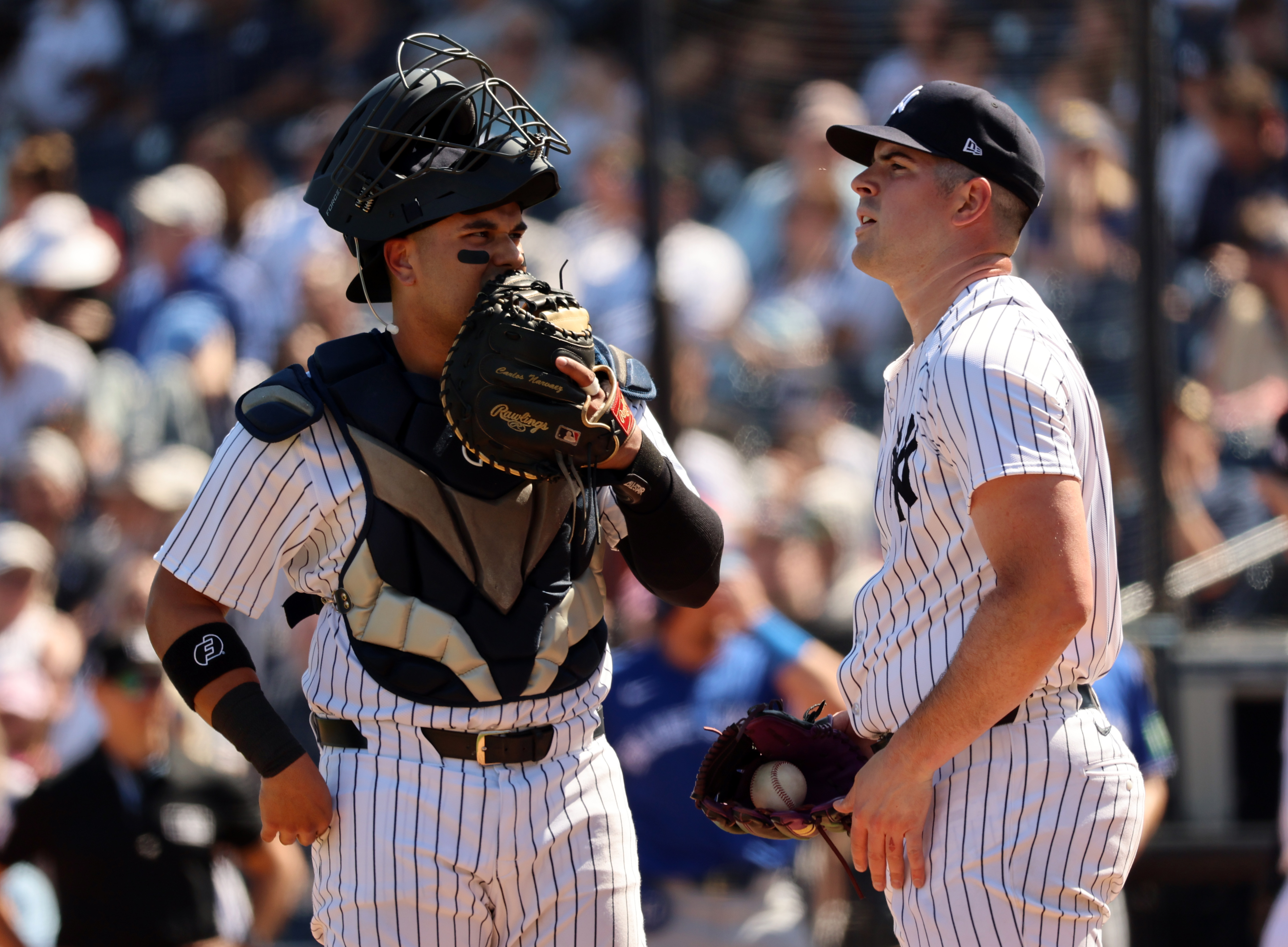 mlb: spring training-toronto blue jays at new york yankees, carlos rodon