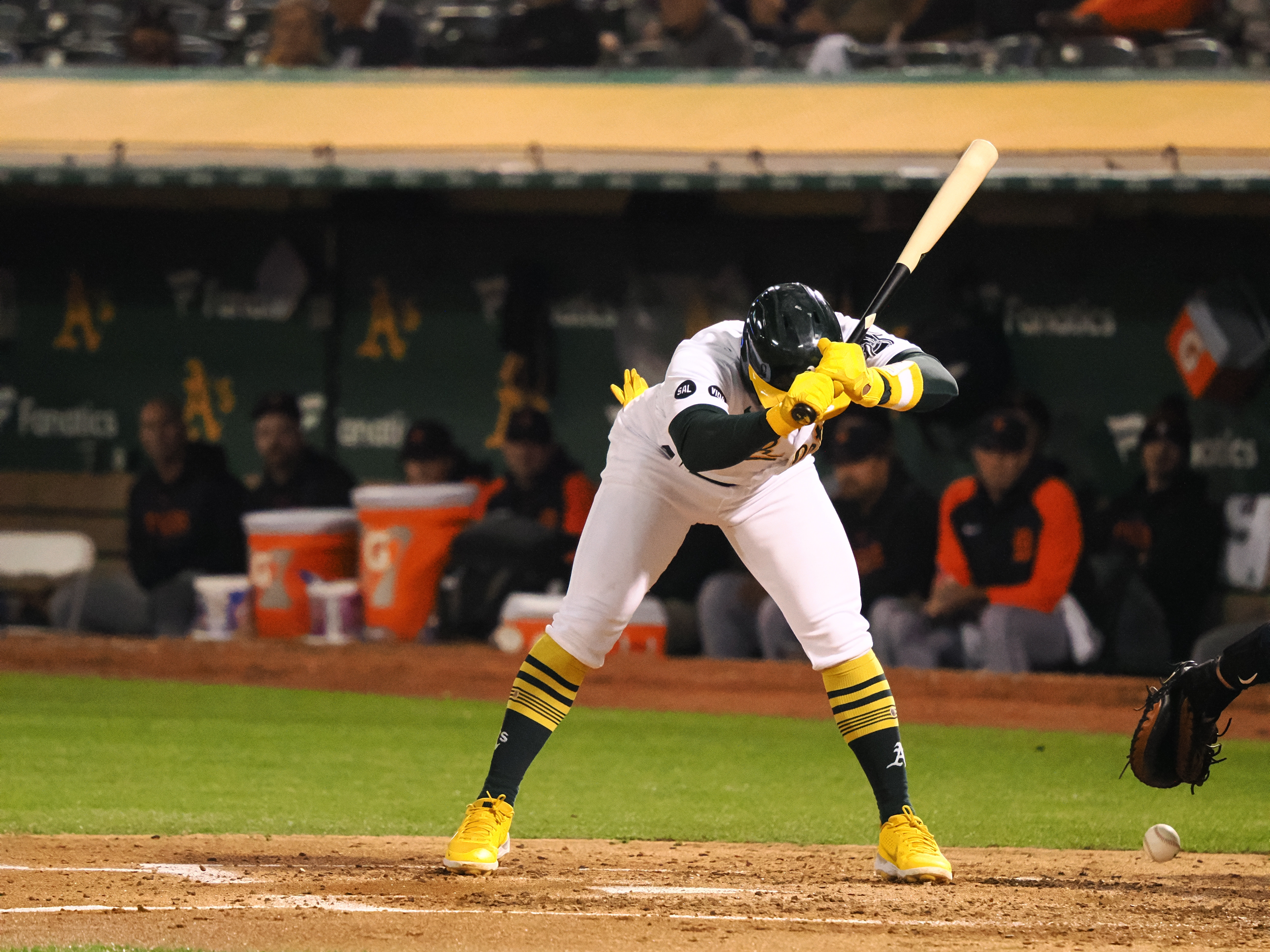 MLB: Detroit Tigers at Oakland Athletics, yankees