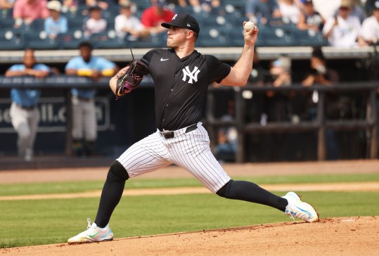 MLB: Spring Training-Tampa Bay Rays at New York Yankees