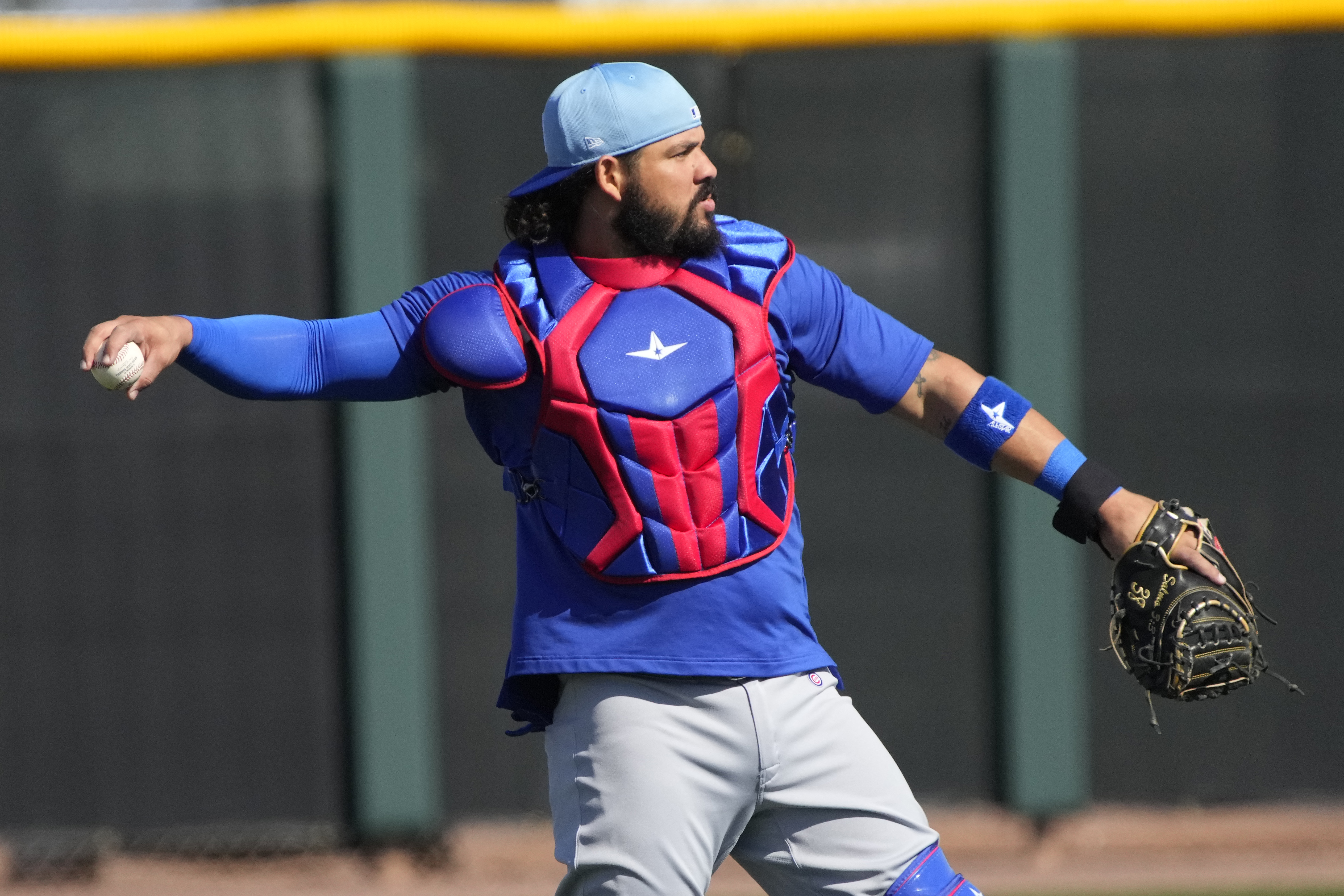 Cubs catcher Jorge Alfaro, Mets