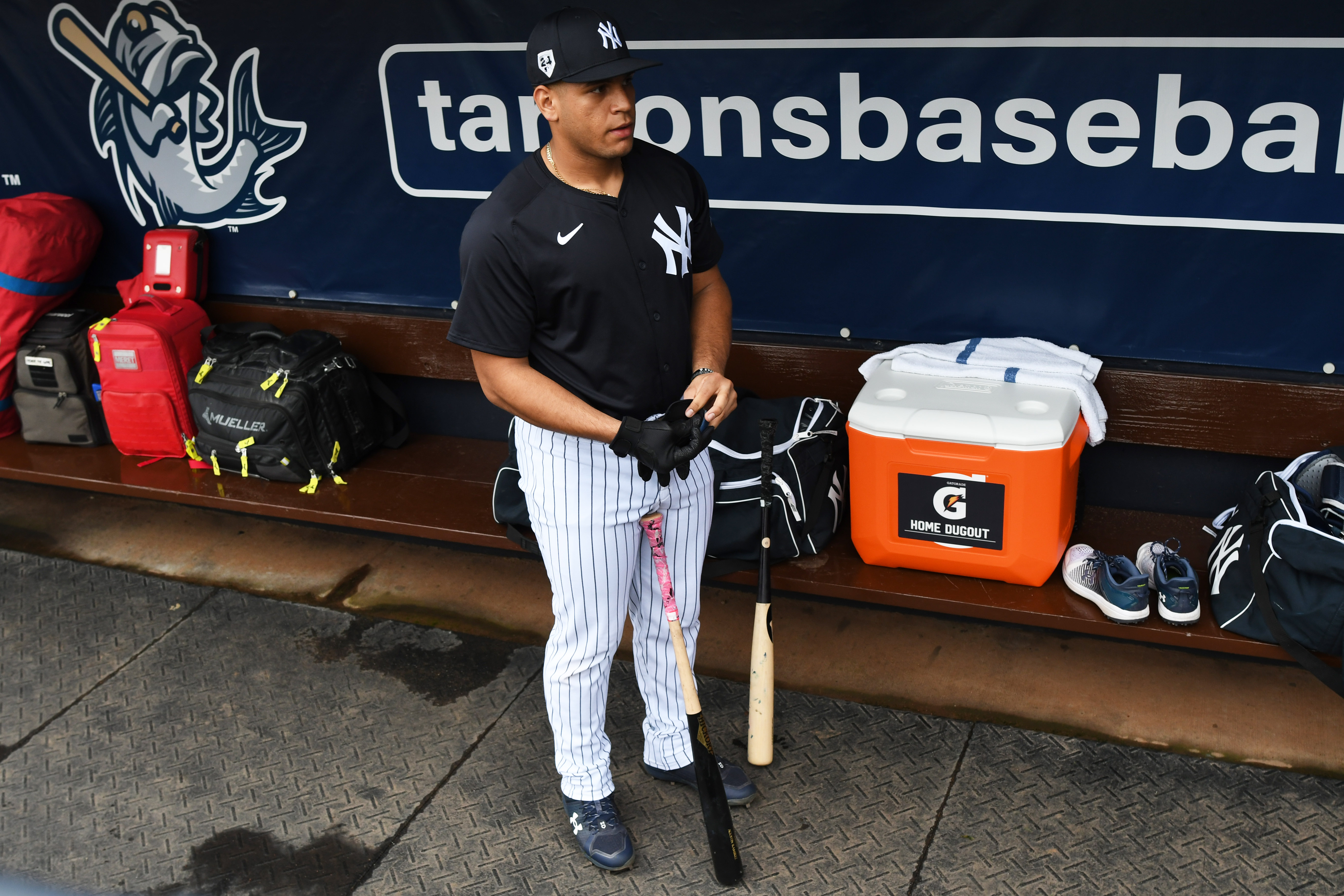 MLB: New York Yankees-Workouts