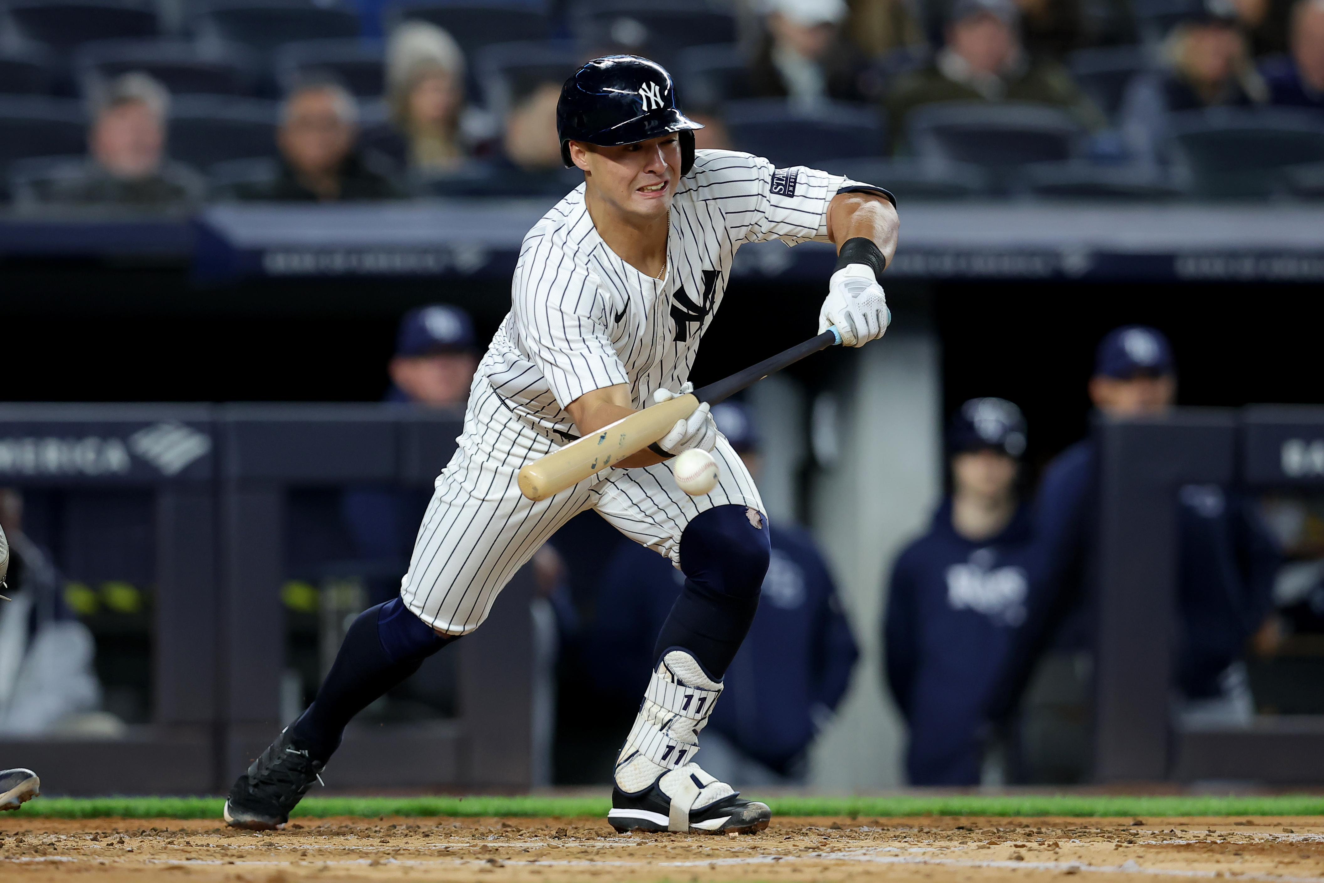 MLB: Tampa Bay Rays at New York Yankees