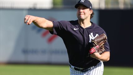 Yankees provide various positive injury updates on rehabbing players