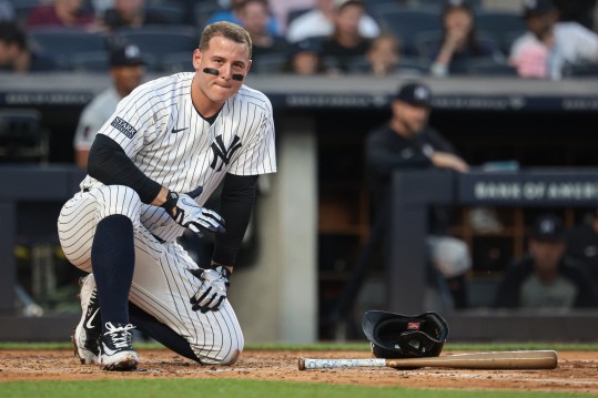 June 6, 2024; Bronx, New York, USA; New York Yankees first baseman Anthony Rizzo (48) reacts after being hit by a foul ball during the third inning against the Minnesota Twins at Yankee Stadium. Mandatory credit: Vincent Carchietta-USA TODAY Sports