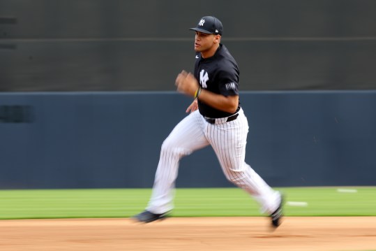 MLB: New York Yankees-Workouts