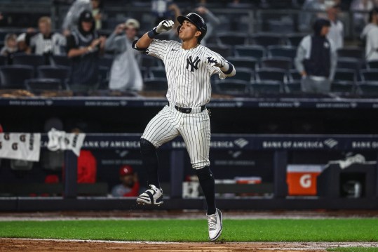 Aug 8, 2024; Bronx, New York, USA;  New York Yankees shortstop Oswaldo Cabrera (95) celebrates after hitting a solo home run in the ninth inning against the Los Angeles Angels at Yankee Stadium. Mandatory Credit: Wendell Cruz-USA TODAY Sports