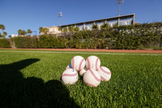 MLB: New York Yankees-Workouts