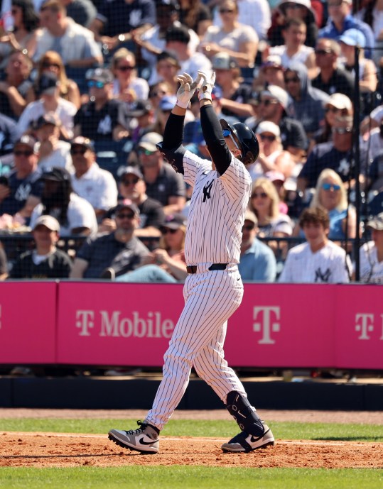 MLB: Spring Training-Toronto Blue Jays at New York Yankees, j.c. escarra