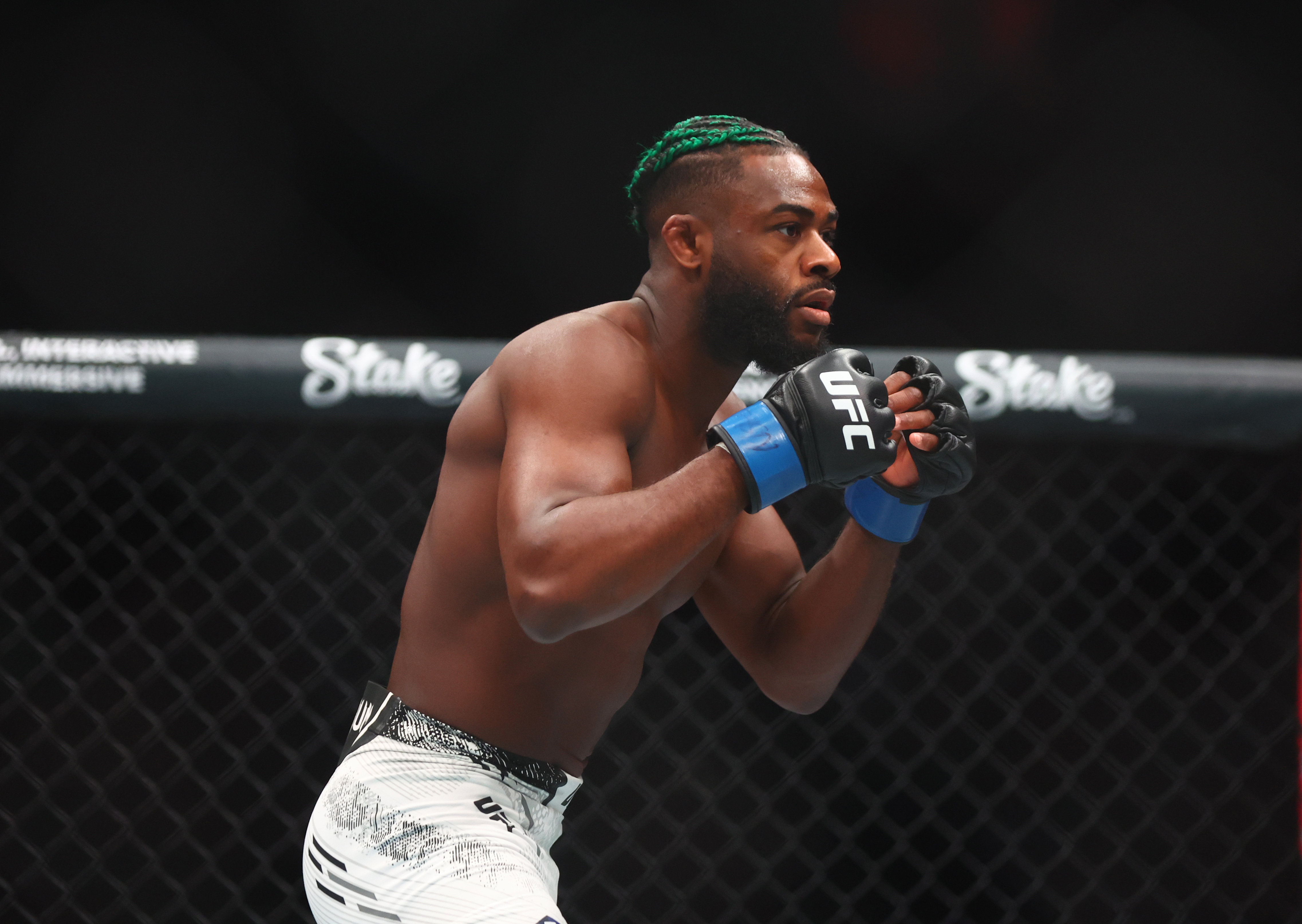 After UFC 310, what does the future hold for former champ Aljamain