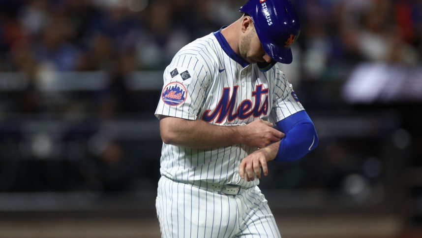 Oct 18, 2024; New York City, New York, USA; New York Mets first baseman Pete Alonso (20) reacts after being hit by a pitch during the fourth inning against the Los Angeles Dodgers during game five of the NLCS for the 2024 MLB playoffs at Citi Field. Mandatory Credit: Vincent Carchietta-Imagn Images