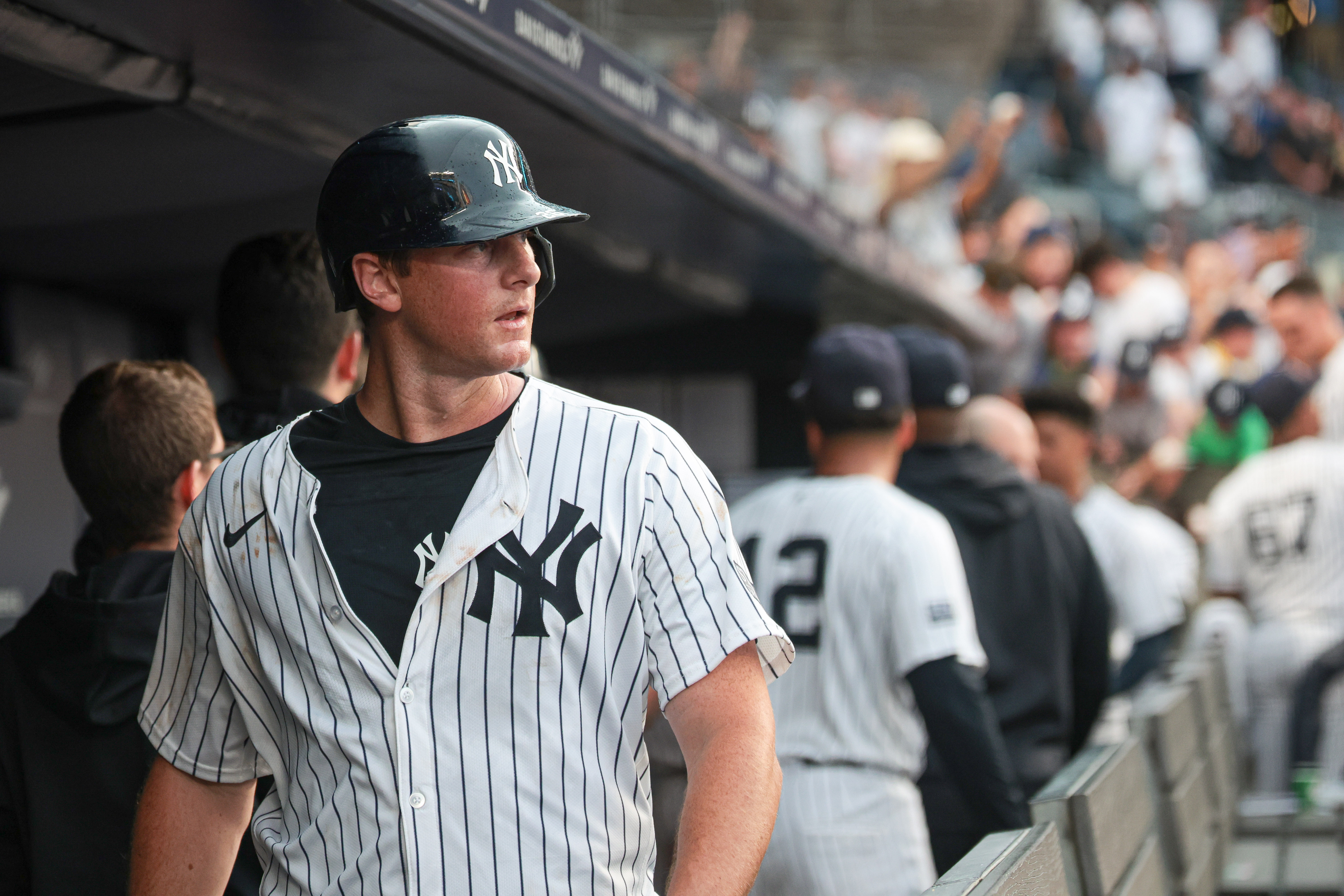 MLB: Toronto Blue Jays at New York Yankees, dj lemahieu