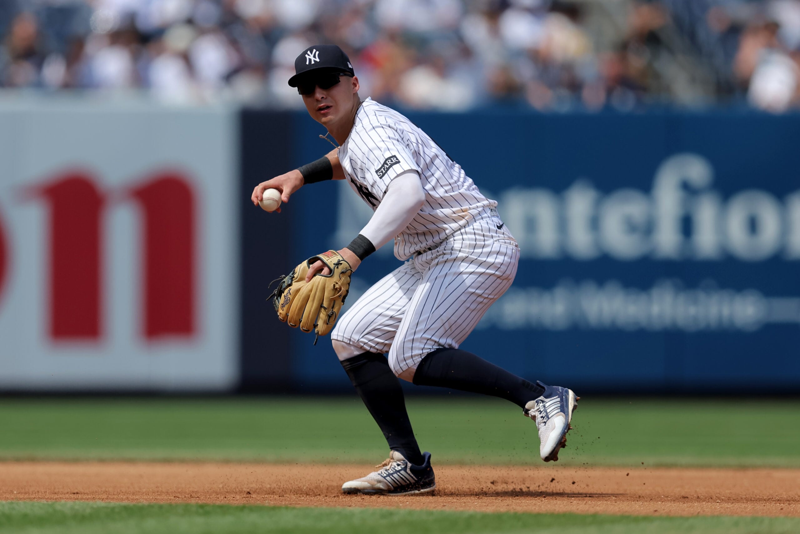 MLB: Los Angeles Angels at New York Yankees, anthony volpe