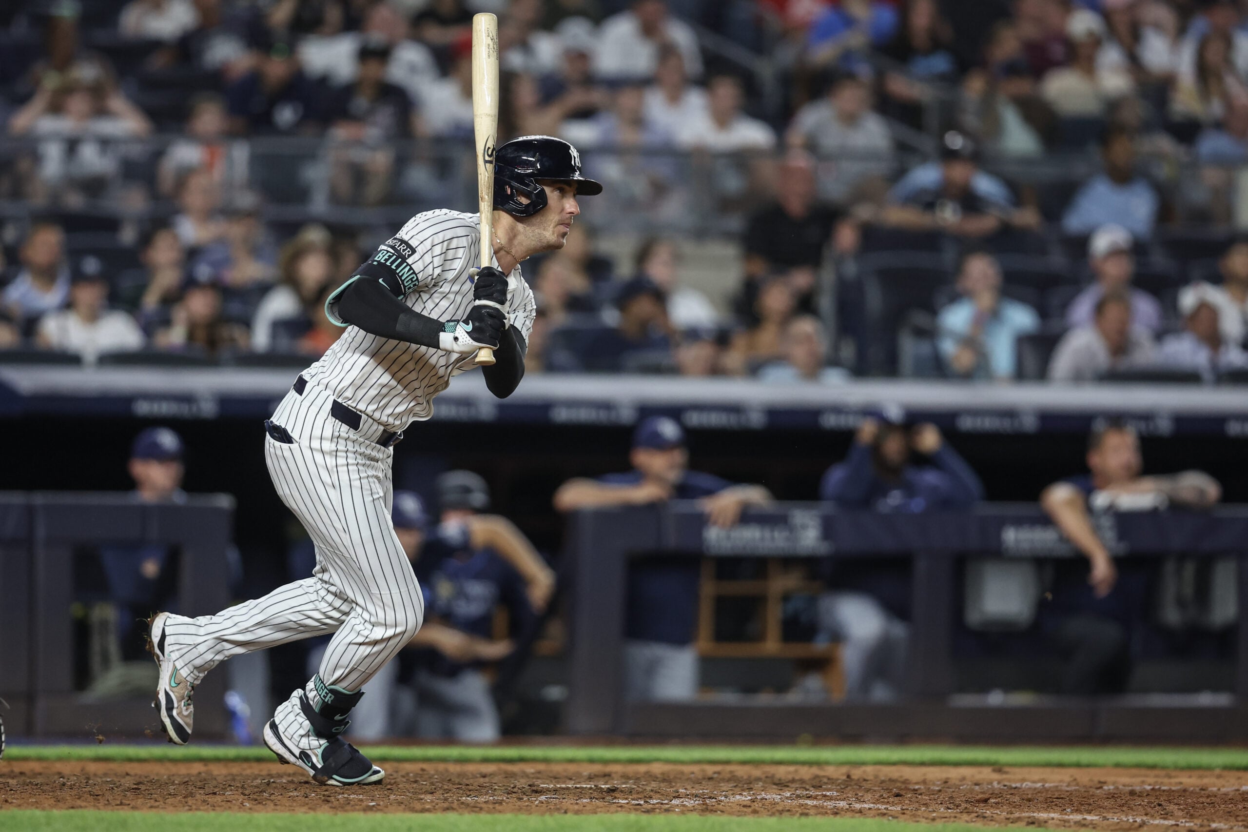 MLB: Tampa Bay Rays at New York Yankees, cody bellinger