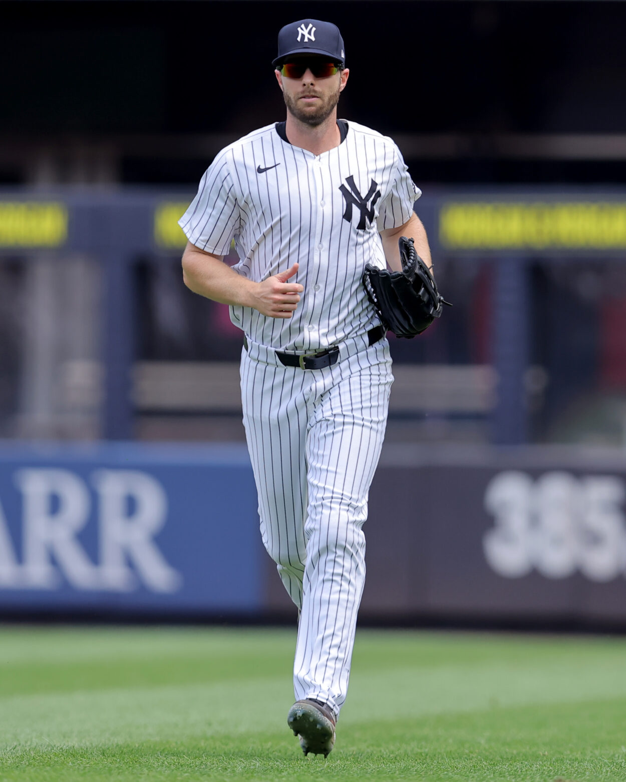 MLB: Tampa Bay Rays at New York Yankees